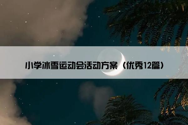 小学冰雪运动会活动方案（优秀12篇）