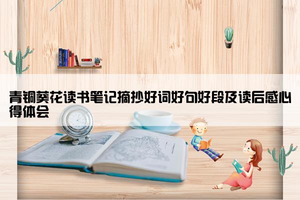 青铜葵花读书笔记摘抄好词好句好段及读后感心得体会