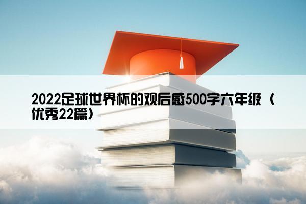 2022足球世界杯的观后感500字六年级（优秀22篇）