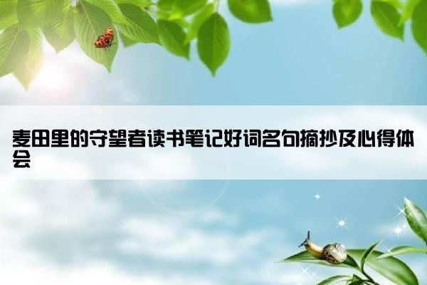 麦田里的守望者读书笔记好词名句摘抄及心得体会
