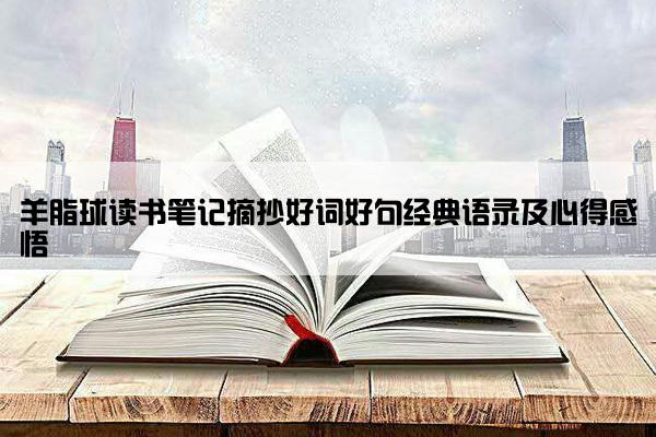 羊脂球读书笔记摘抄好词好句经典语录及心得感悟