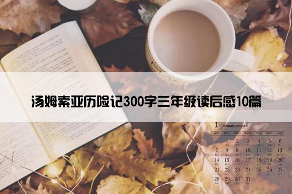汤姆索亚历险记300字三年级读后感10篇