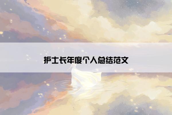 护士长年度个人总结范文
