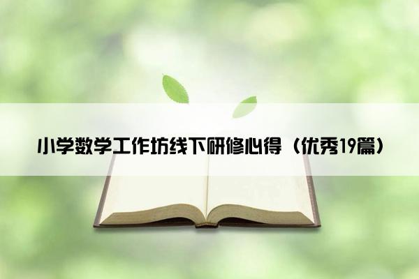 小学数学工作坊线下研修心得（优秀19篇）