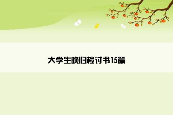 大学生晚归检讨书15篇