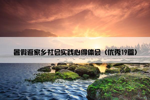 暑假返家乡社会实践心得体会（优秀19篇）
