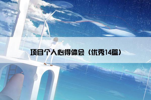 项目个人心得体会（优秀14篇）