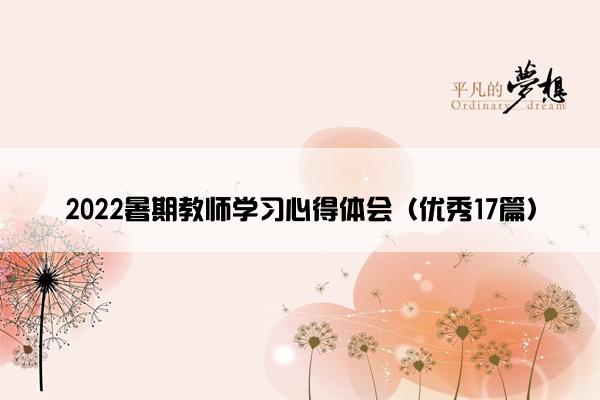 2022暑期教师学习心得体会（优秀17篇）