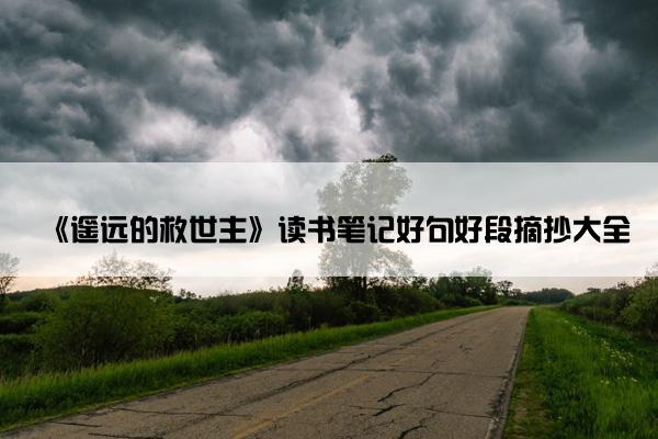 《遥远的救世主》读书笔记好句好段摘抄大全