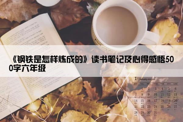 《钢铁是怎样炼成的》读书笔记及心得感悟500字六年级