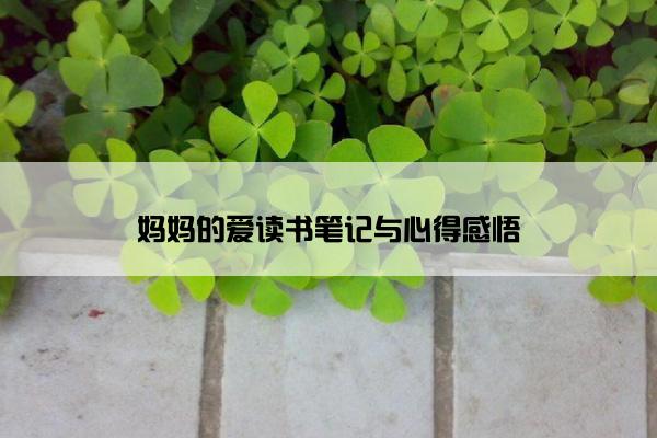 妈妈的爱读书笔记与心得感悟