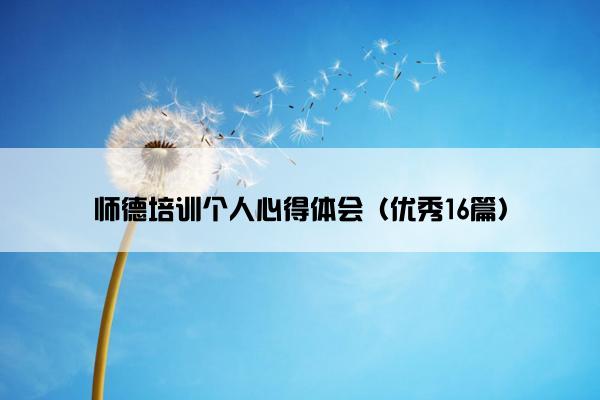 师德培训个人心得体会（优秀16篇）