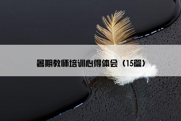 暑期教师培训心得体会（15篇）
