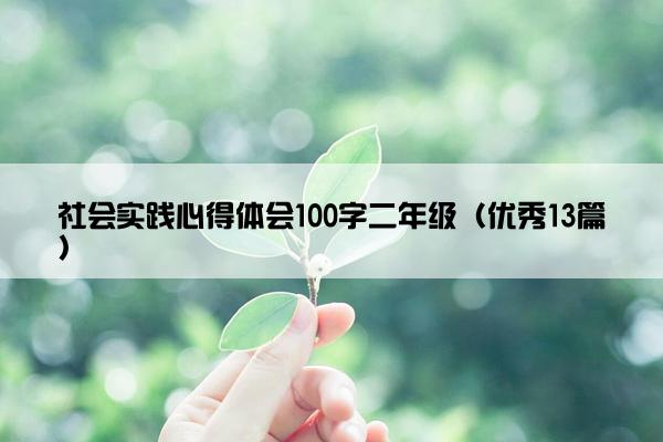 社会实践心得体会100字二年级（优秀13篇）