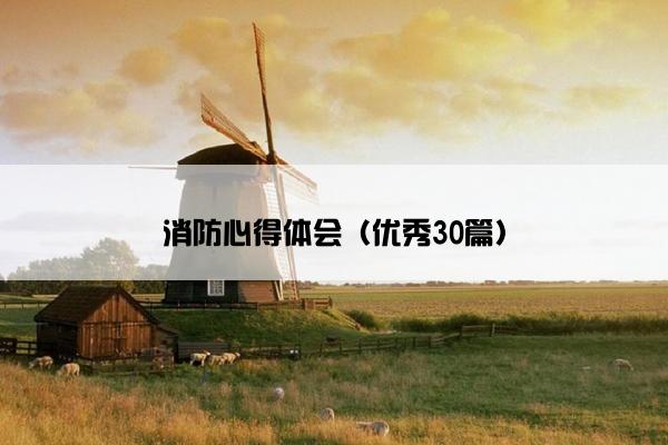 消防心得体会（优秀30篇）