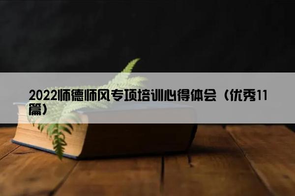 2022师德师风专项培训心得体会（优秀11篇）