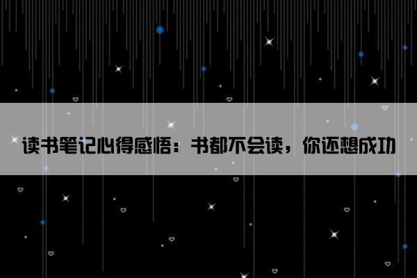 读书笔记心得感悟：书都不会读，你还想成功
