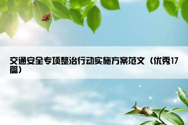 交通安全专项整治行动实施方案范文（优秀17篇）