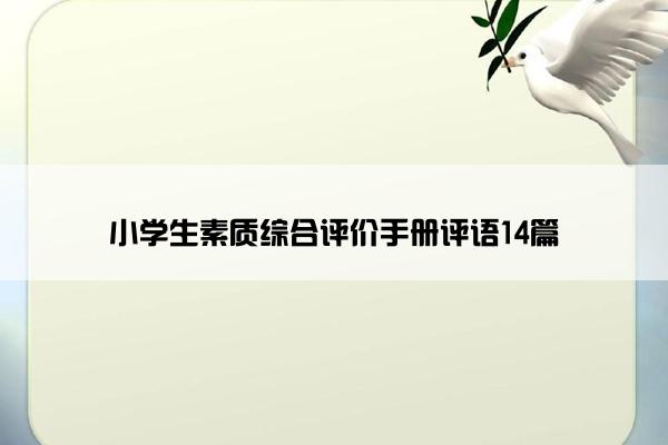 小学生素质综合评价手册评语14篇