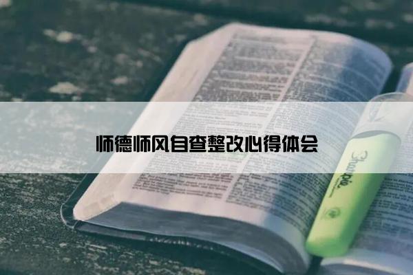 师德师风自查整改心得体会