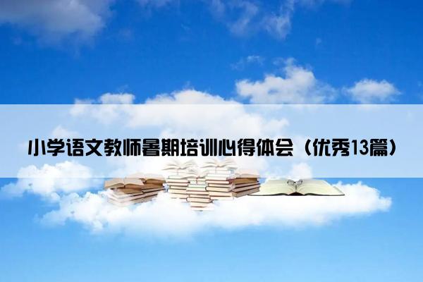 小学语文教师暑期培训心得体会（优秀13篇）