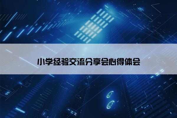小学经验交流分享会心得体会