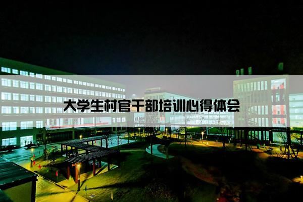 大学生村官干部培训心得体会