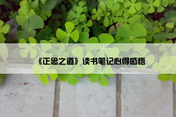 《正念之道》读书笔记心得感悟