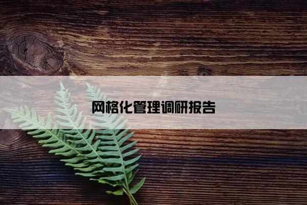 网格化管理调研报告
