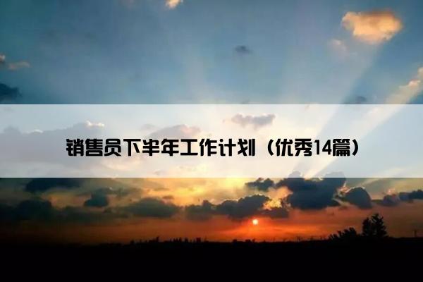 销售员下半年工作计划（优秀14篇）