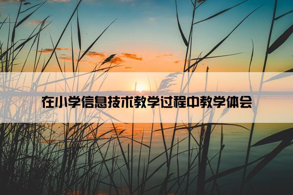在小学信息技术教学过程中教学体会