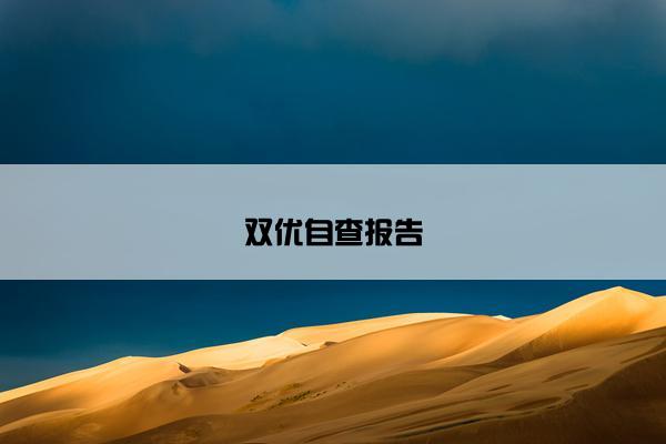 双优自查报告