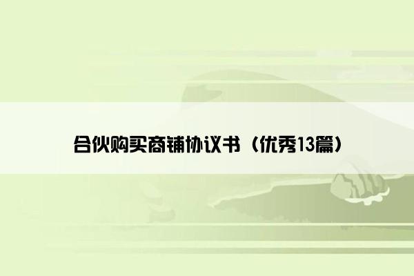 合伙购买商铺协议书（优秀13篇）