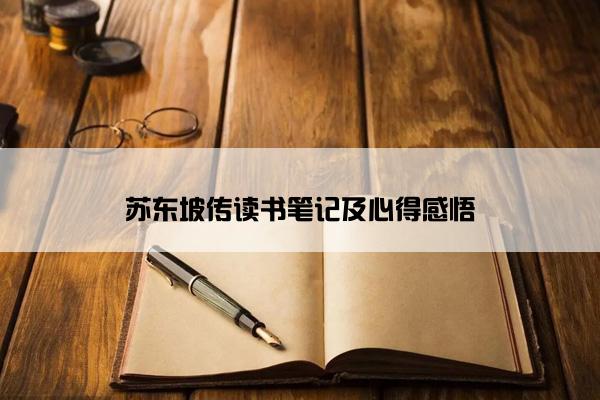 苏东坡传读书笔记及心得感悟