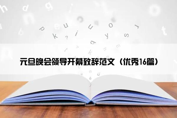 元旦晚会领导开幕致辞范文（优秀16篇）