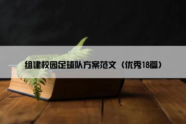 组建校园足球队方案范文（优秀18篇）