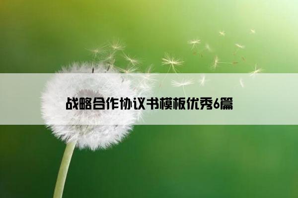 战略合作协议书模板优秀6篇