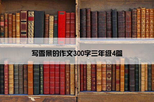 写雪景的作文300字三年级4篇