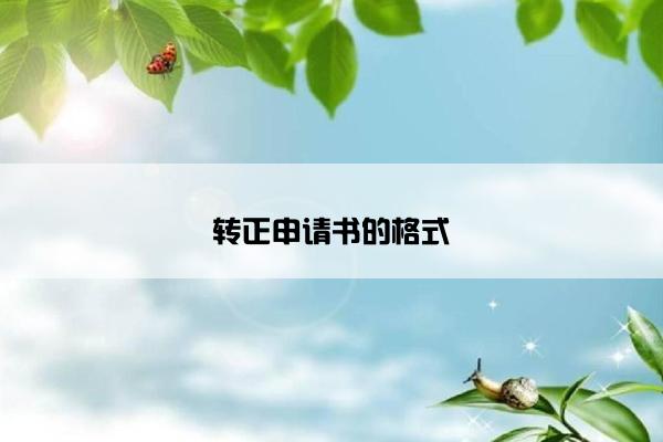转正申请书的格式