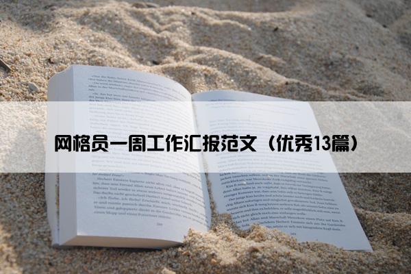 网格员一周工作汇报范文（优秀13篇）