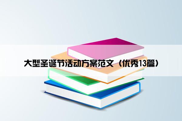 大型圣诞节活动方案范文（优秀13篇）