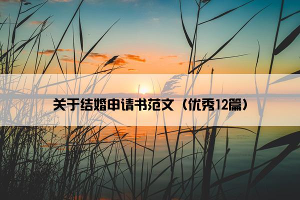 关于结婚申请书范文（优秀12篇）