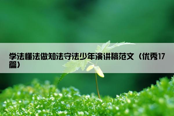 学法懂法做知法守法少年演讲稿范文（优秀17篇）
