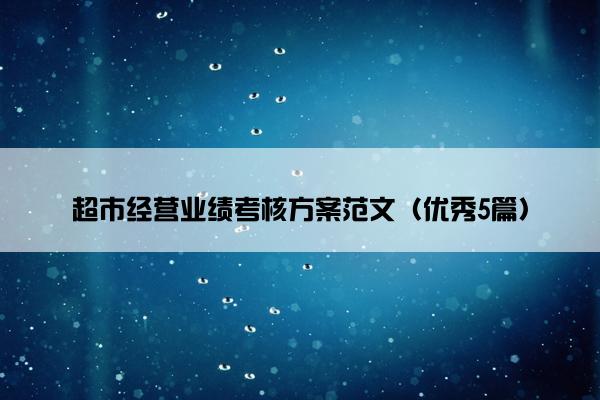 超市经营业绩考核方案范文（优秀5篇）