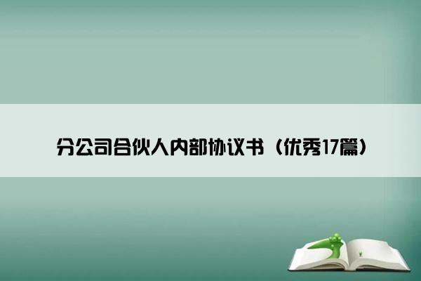 分公司合伙人内部协议书（优秀17篇）