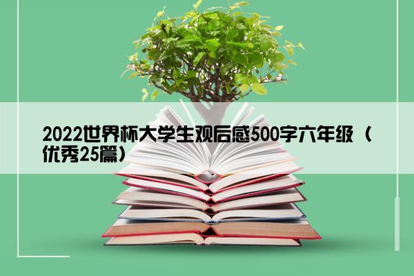 2022世界杯大学生观后感500字六年级（优秀25篇）