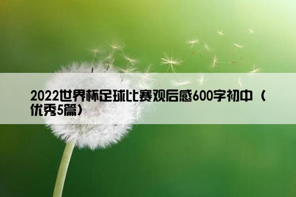2022世界杯足球比赛观后感600字初中（优秀5篇）