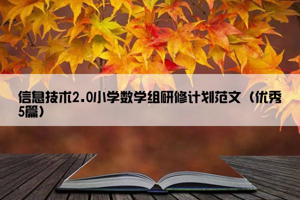 信息技术2.0小学数学组研修计划范文（优秀5篇）