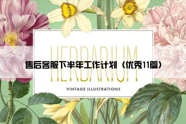 售后客服下半年工作计划（优秀11篇）