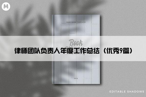 律师团队负责人年度工作总结（优秀9篇）